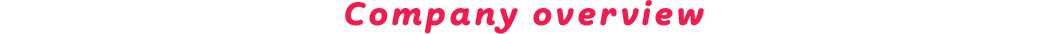 Company overview